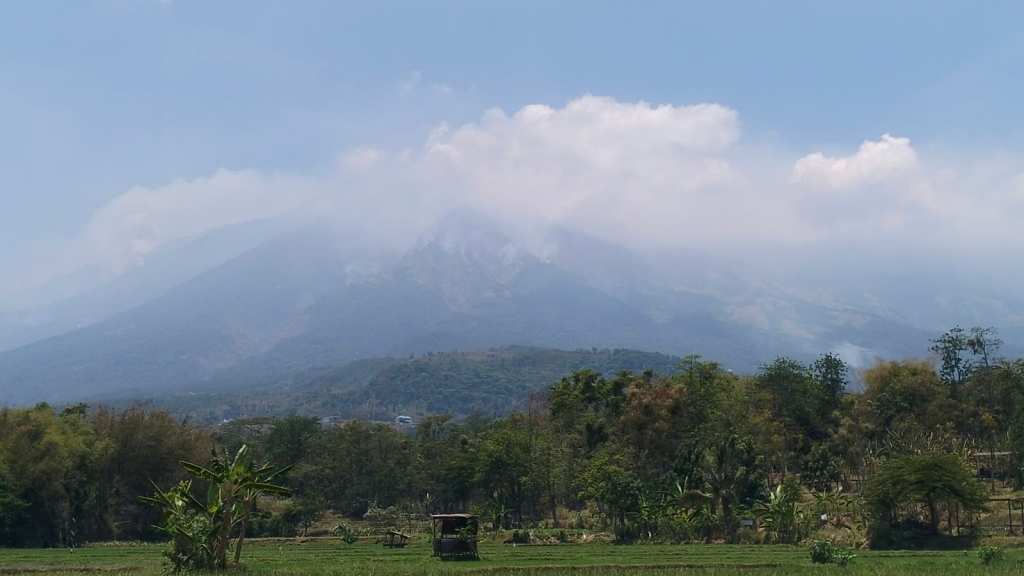 Kebakaran Hutan di Gunung Arjuno-Welirang Menyisakan 1 Titik Api di Kota Batu