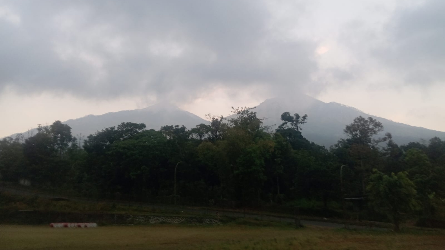 Kebakaran di Gunung Arjuno-Welirang Seluas 334 Hektare