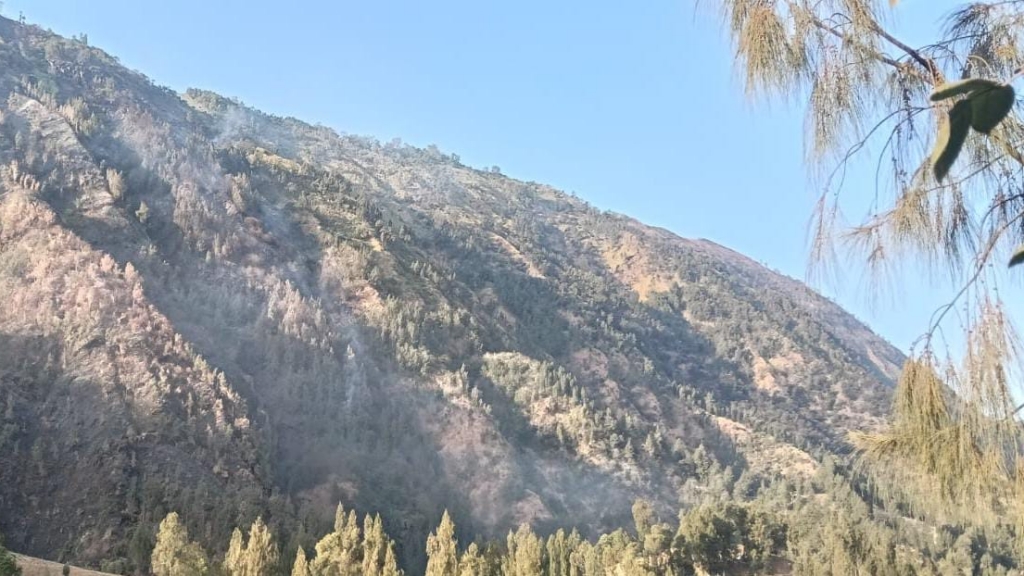 Kebakaran Hutan Perhutani Sukapura Probolinggo Padam