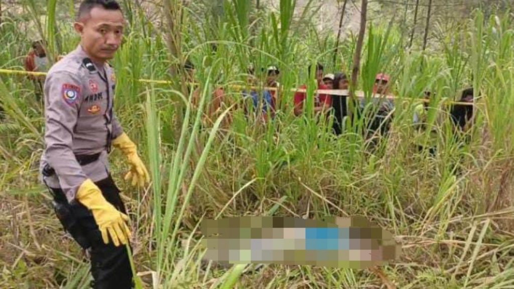 Pencari Rumput Tewas Penuh Luka di Hutan Sumber Probolinggo 