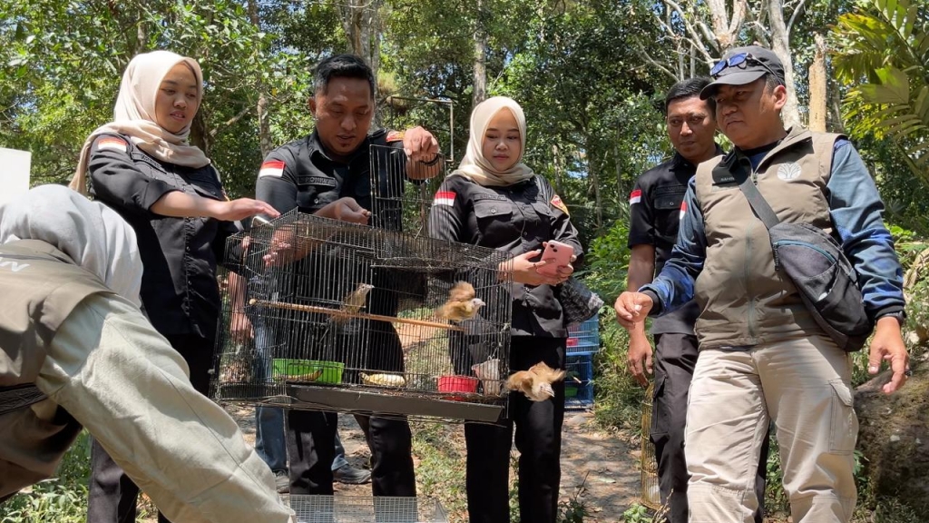 136 Burung Sitaan dari Pasar Gelap Dilepasliarkan di Hutan Tretes Pasuruan 
