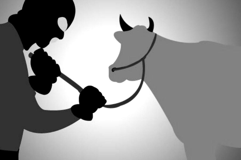 Modus Pencurian Sapi Siang Hari di Probolinggo, Warga Tak Curiga