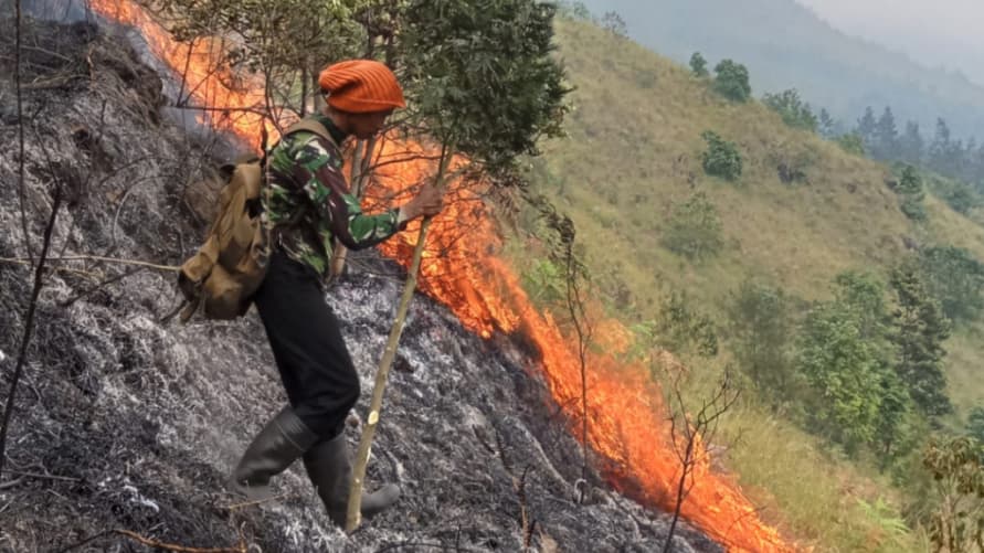 22 Daerah di Jatim Berisiko Tinggi Karhutla Selama Kemarau 2026