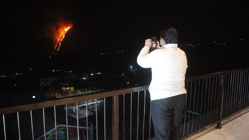 Hutan Perhutani di Sukapura Probolinggo Kebakaran 