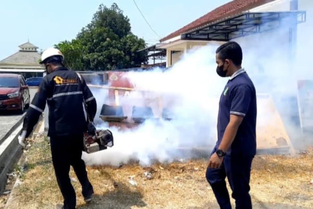 119 Orang Lumajang Kena DBD dalam Dua Bulan, Empat Meninggal