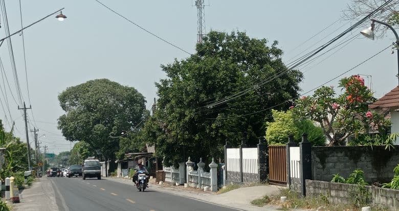 Sleman Anggarkan Rp 30 Miliar untuk Wujudkan 'Sleman Dalane Padang'