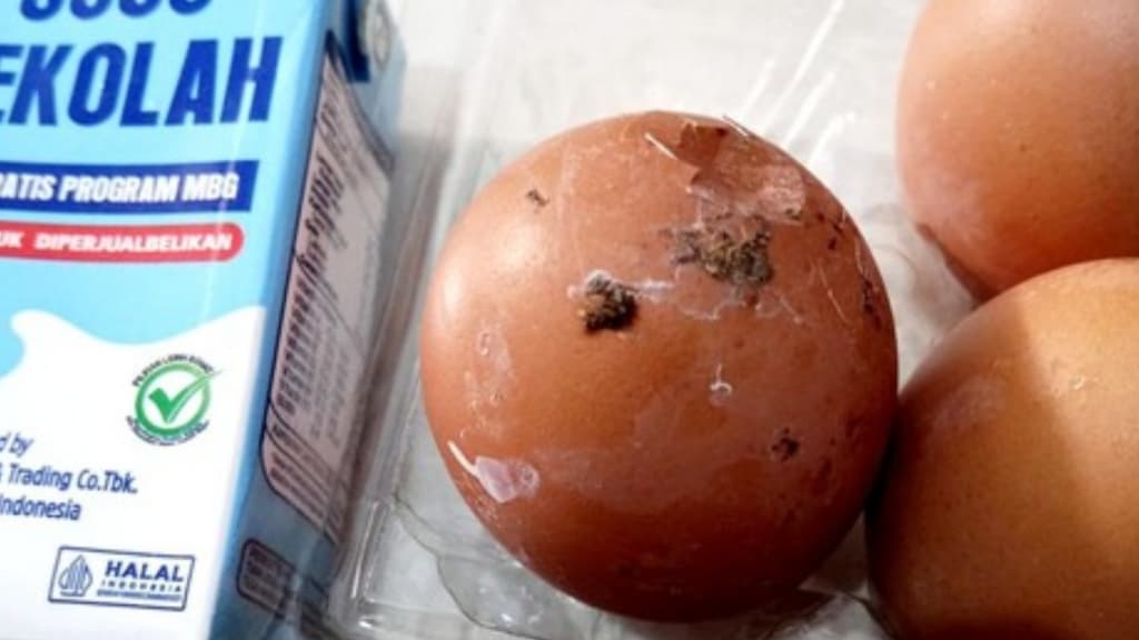 Telur Rebus Menu MBG Siswa SD di Tulungagung Terdapat Kotoran Ayamnya