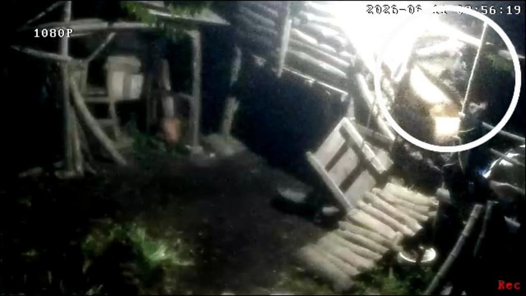 Jelang Subuh, Maling Curi Dua Ekor Kambing Warga Lekok Pasuruan