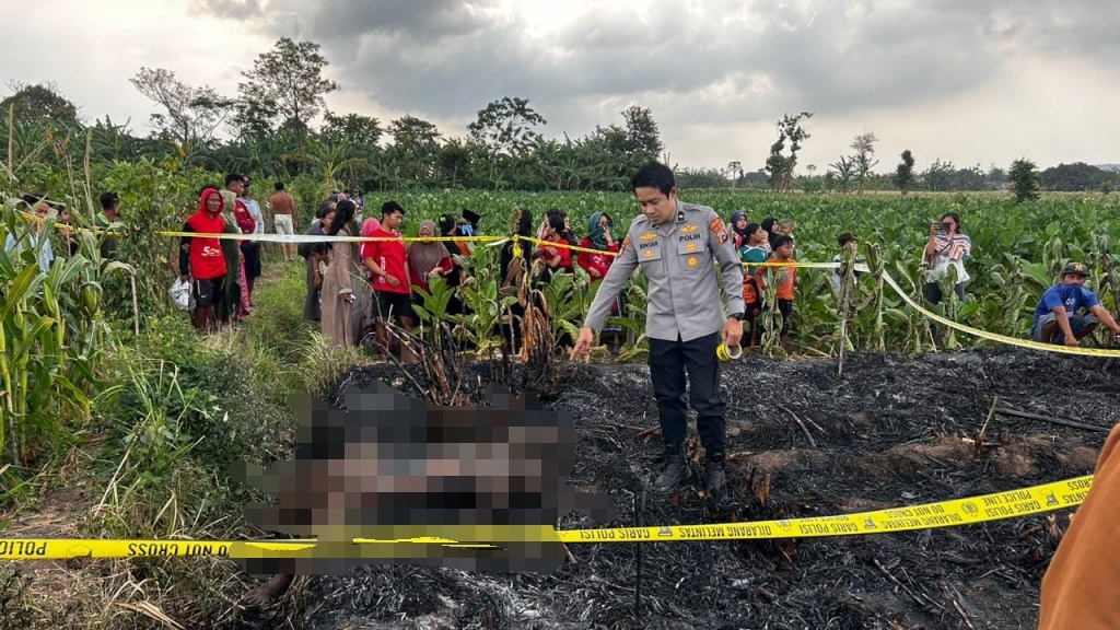 Pria Probolinggo Tewas Terbakar di Ladang Tebu