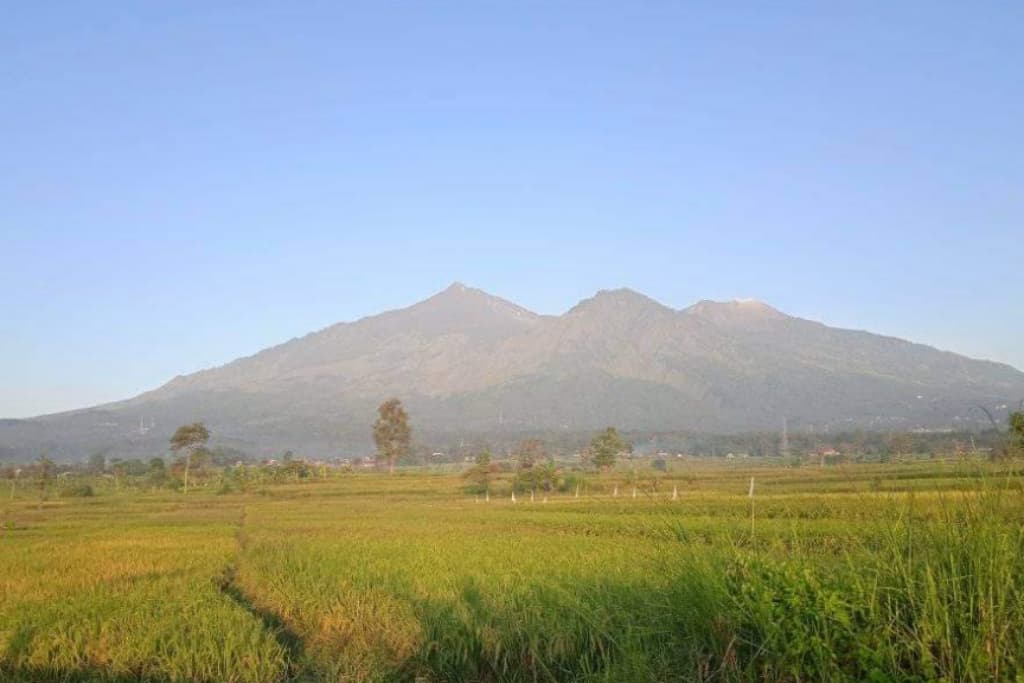 Gunung Arjuno-Welirang Kebakaran, Jalur Pendakian Ditutup Total